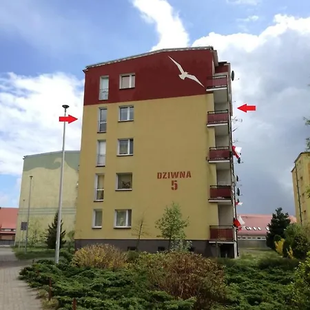 Nad Dziwna Apartment *